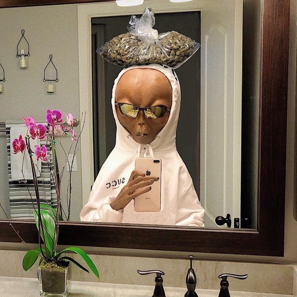 Meet your Posher, Shaun - Picture 1 of 1